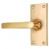 "Asa" Brass Door Handle with Plate 